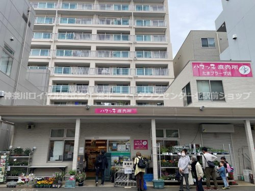 ハマッ子直売所たまプラーザ店