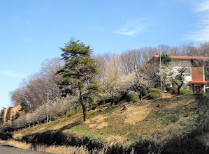 光塩女子学院日野幼稚園の画像1