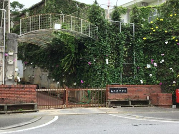 高江洲中学校の画像1