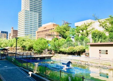 木場親水公園の画像1