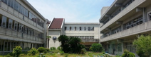 桜ヶ丘小学校