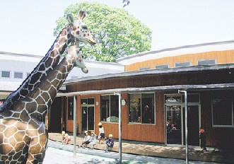 本郷保育園の画像1
