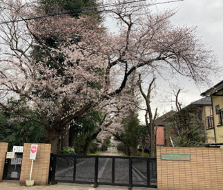 東京都立大泉高校の画像1