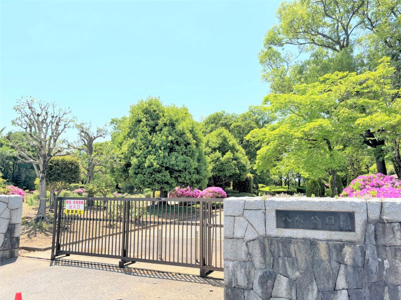 八坂公園の画像