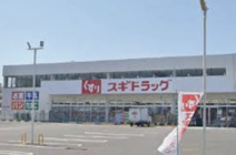 スギドラッグ桶川末広店