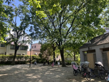 杉並区立　和田公園の画像2