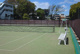 東板橋庭球場の画像