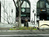 スターバックスコーヒー 三井住友銀行名古屋ビル店