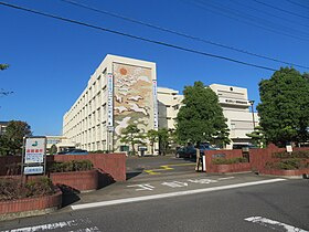 の画像