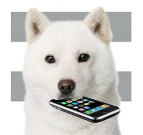 softbank（ソフトバンク）ショップの画像2