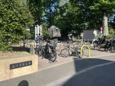 杉並区立高円寺東公園の画像1