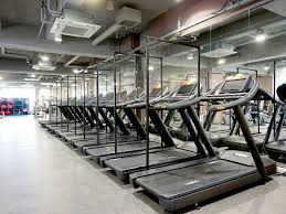 ダンロップスポーツクラブ金沢文庫