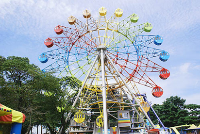 とちのきファミリーランドの画像3