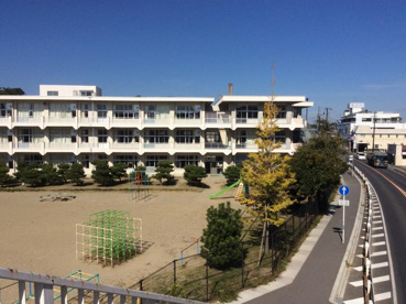 松島第一小学校の画像1