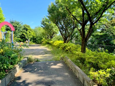 沖原桜公園の画像1