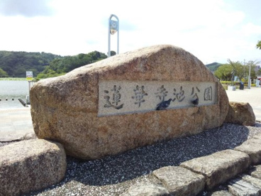 蓮華寺池公園の画像1