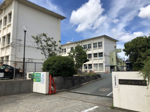 の画像