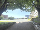 日野市立日野第四中学校_2