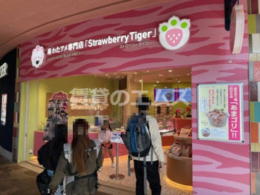 Strawberry Tiger Strawberry Tigerの画像1