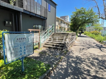 美野島緑道の画像1