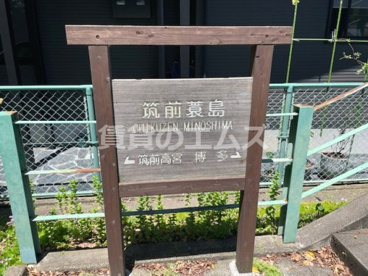 美野島緑道の画像3