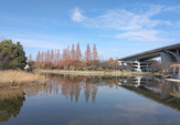 城北公園