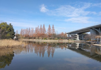 城北公園の画像1