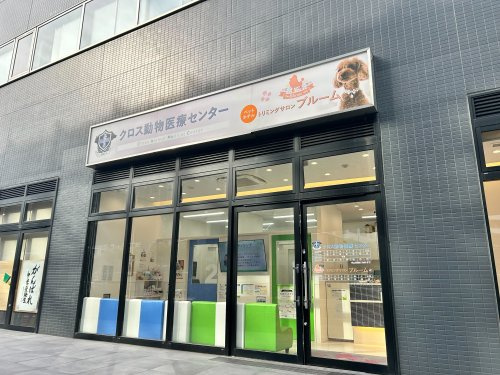 トリミングサロンブルーム勝どき店