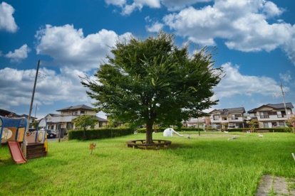 父沼公園の画像1