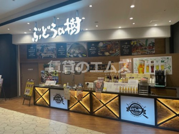 バーベキューヴィレッジ ぶどうの樹 fukuoka バーベキューヴィレッジ ぶどうの樹 fukuokaの画像1