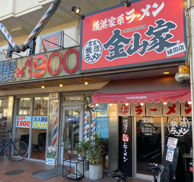 の画像