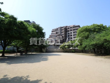 大橋南公園の画像1