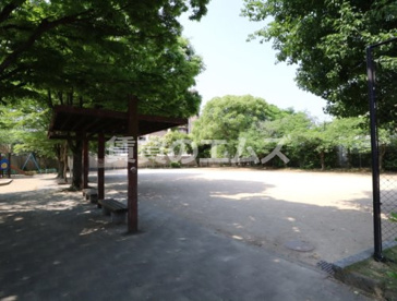 大橋南公園の画像2