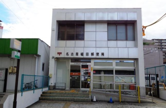 の画像