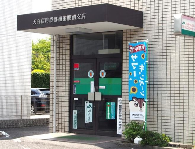 の画像