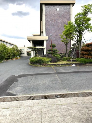 の画像