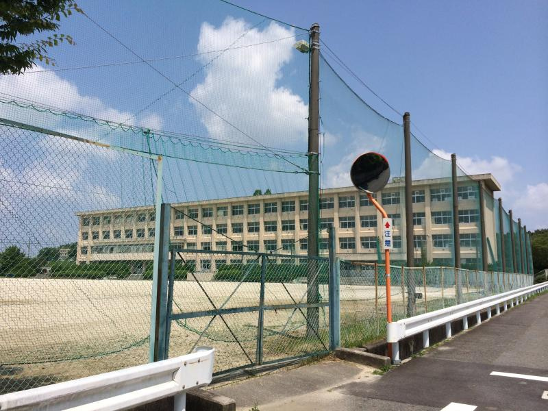 の画像