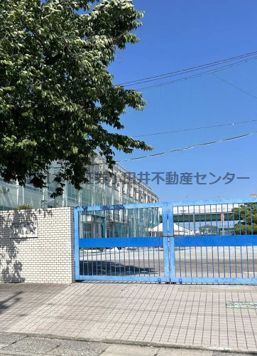 の画像