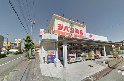 シバタ薬品　住吉店の画像1