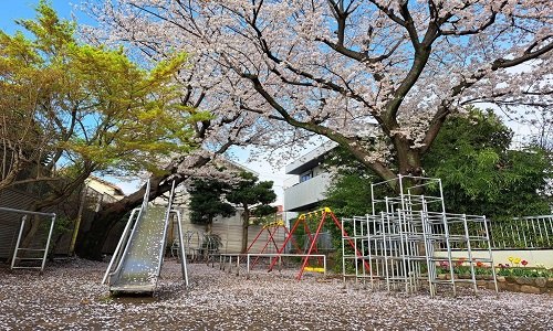 上野毛幼稚園の画像