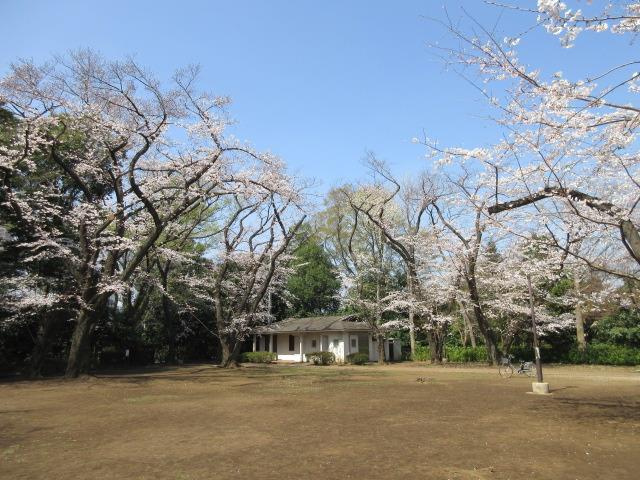上野毛自然公園の画像