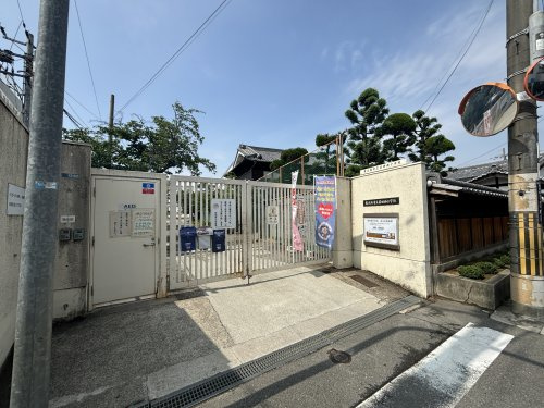 の画像