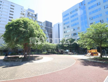 瑞穂公園の画像3