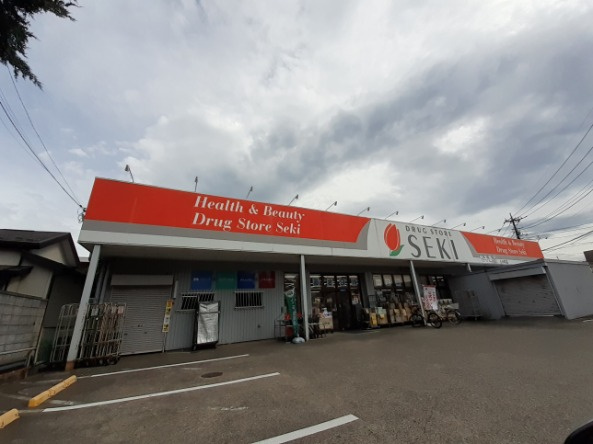 ドラッグストアセキ上小町店