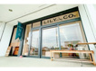 LILY&CO.