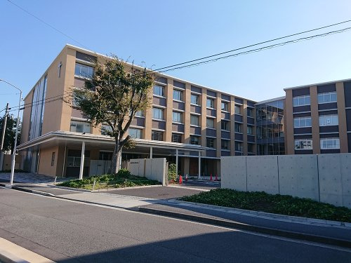 の画像