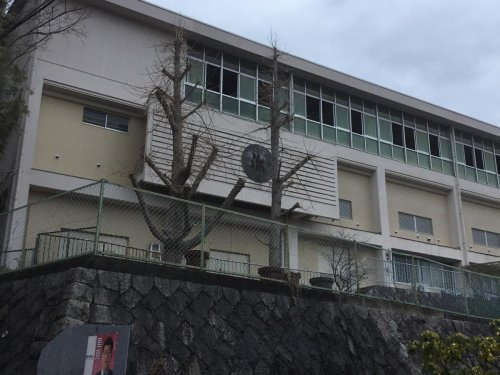 の画像