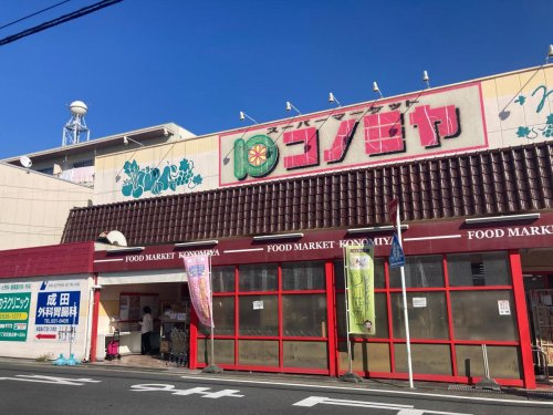 の画像