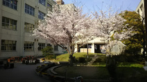 高松市立木太北部小学校
