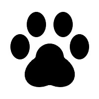 すみれペットクリニックの画像1